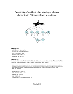 Sensitivity of resident killer whale population dynamics to Chinook