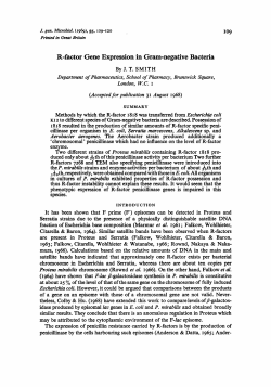 R-factor Gene Expression in Gram-negative Bacteria