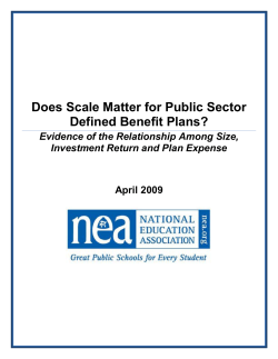 Does Scale Matter for Public Sector Defined Benefit Plans?
