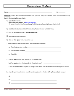 Photosynthesis WebQuest