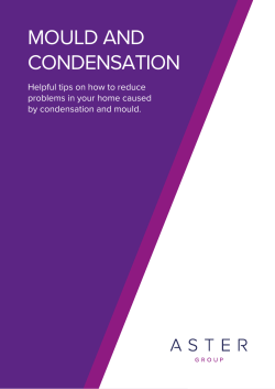 mould and condensation