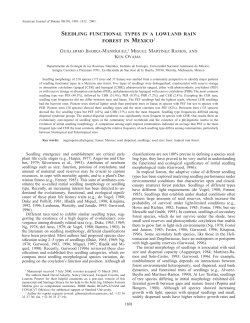 seedling functional types in a lowland rain forest in mexico1