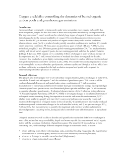 Oxygen availability controlling the dynamics of buried organic