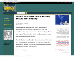 Hottest Life-Form Found: Microbe Thrives When