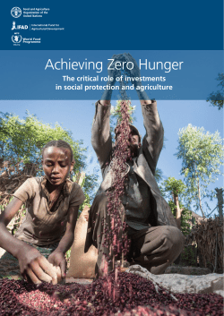 Achieving Zero Hunger - Food and Agriculture Organization of the