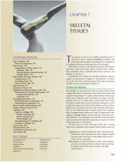 skeletal tissues