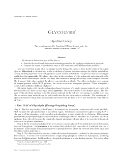 Glycolysis - OpenStax CNX
