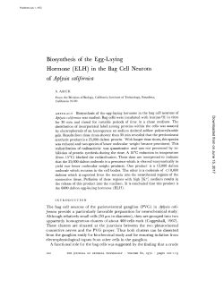 Biosynthesis of the Egg-Laying Hormone (ELH) in the Bag Cell