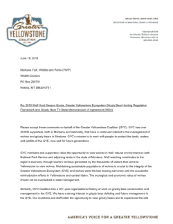 Our comments to Montana Fish, Wildlife and Parks