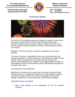 Fireworks Safety PROCEED WITH CAUTION!