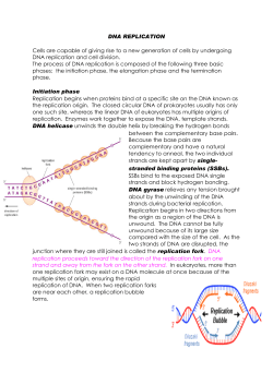 DNA Replication Notes
