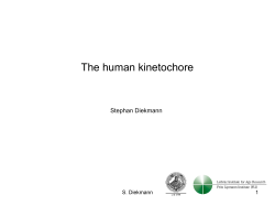 The human kinetochore