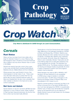 Crop Watch, August 2012