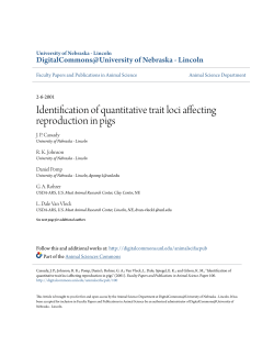 Identification of quantitative trait loci affecting reproduction in pigs