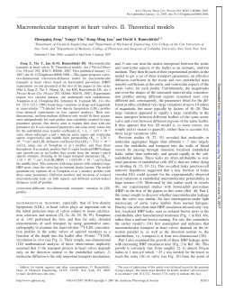 Macromolecular transport in heart valves. II. Theoretical - AJP