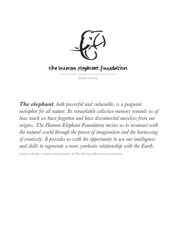 The elephant, both powerful and vulnerable, is a poignant metaphor