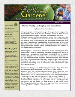 Florida-Friendly Landscaping and Native Plants