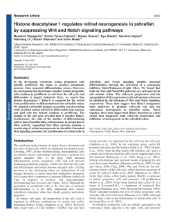 Histone deacetylase 1 regulates retinal