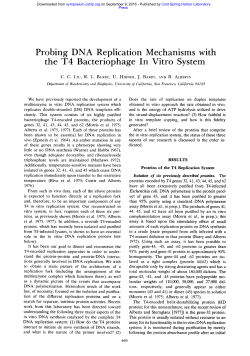 Probing DNA Replication Mechanisms with the T4 Bacteriophage In