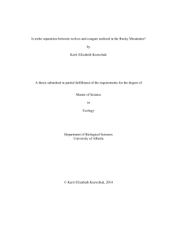 Is niche separation between wolves and cougars realized in the