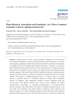 Plant-Bacteria Association and Symbiosis: Are There Common