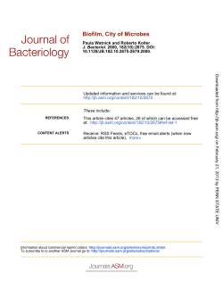 Biofilm, City of Microbes