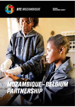 mozambique-belgium partnership