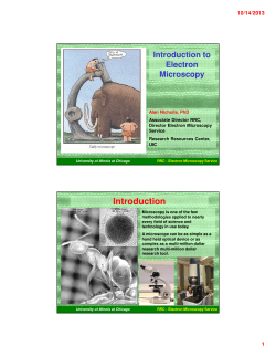 Scanning Electron Microscopy