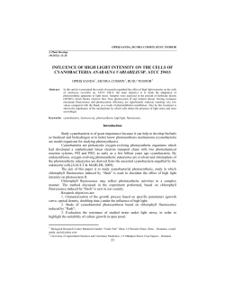 influence of high light intensity on the cells of cyanobacteria