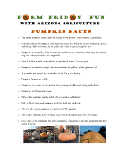Pumpkin Facts