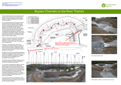 Bypass Channels on the River Thames