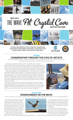 roadrunners on the move conservation through the eyes of artists