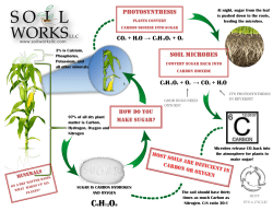 CO2 + H2O &rarr; C6H12O6 + O2