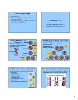 Activating Strategy AP Lesson #38 What happens during Meiosis 2?