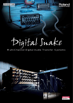 RSS Digital Snake Brochure
