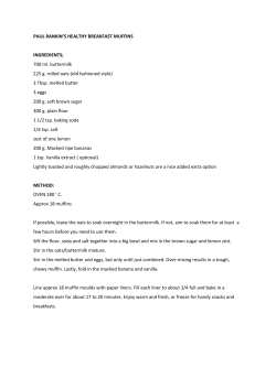 PAUL RANKIN`S HEALTHY BREAKFAST MUFFINS INGREDIENTS