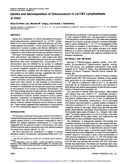 Uptake and Decomposition of Chlorozotocin in