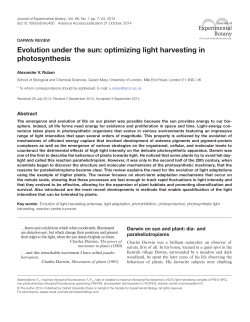 Evolution under the sun: optimizing light harvesting in photosynthesis