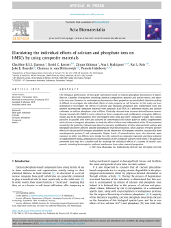 Elucidating the individual effects of calcium and phosphate ions on