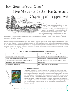 Five Steps to Better Pasture and Grazing