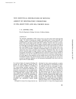non-identical mechanisms of mitotic arrest by respiratory inhibitors in