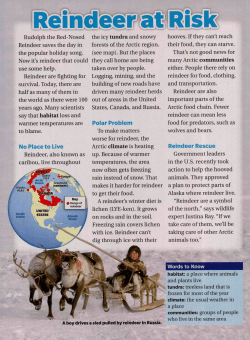 Rudolph the Red-Nosed Reindeer saves the day in the