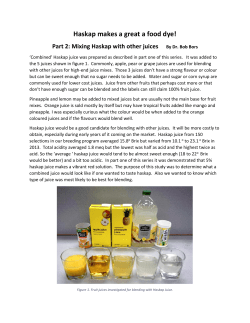 Part 2-Mixing Haskap with other juices