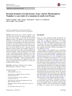 Invasion dynamics of Asian hornet, Vespa velutina (Hymenoptera
