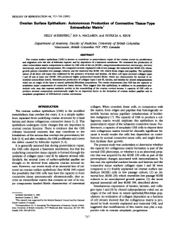 Ovarian Surface Epithelium: Autonomous Production of Connective
