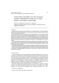 structural integrity of the nuclear matrix