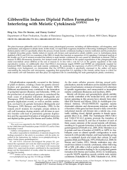 Gibberellin Induces Diploid Pollen Formation by