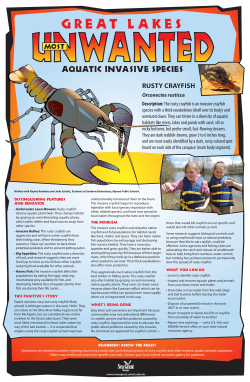 to see Rusty Crayfish Poster!