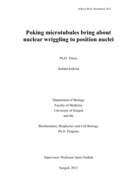 Poking microtubules bring about nuclear wriggling to