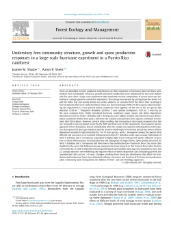 Understory fern community structure, growth and spore